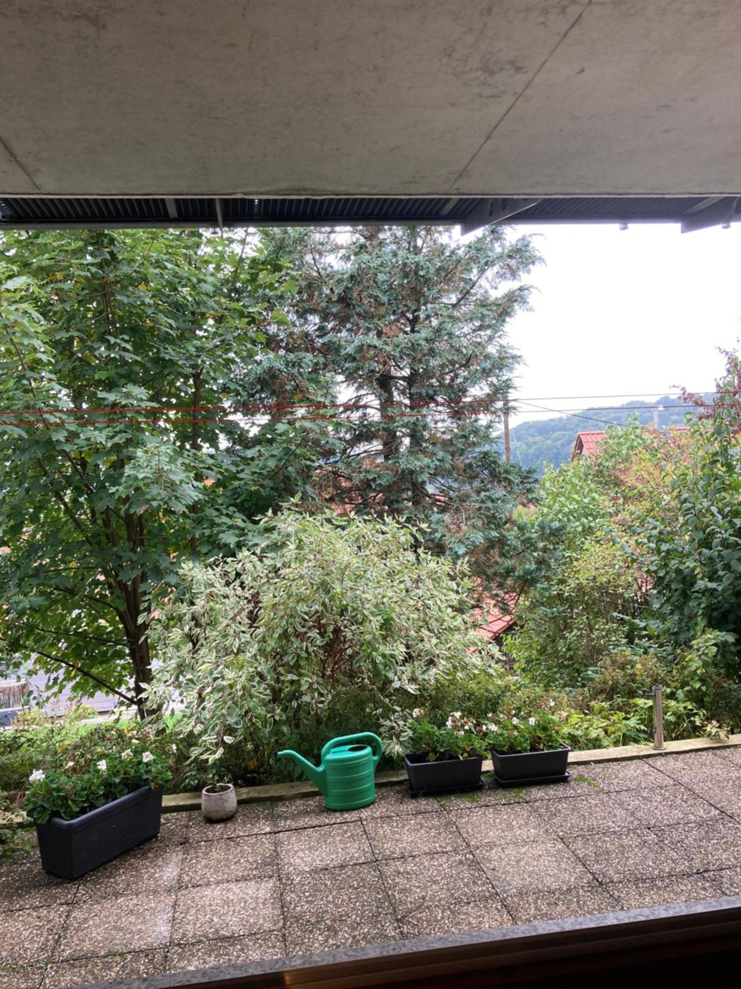 Lichtdurchflutete Ferienwohnung Sankt Johann  Kültér fotó